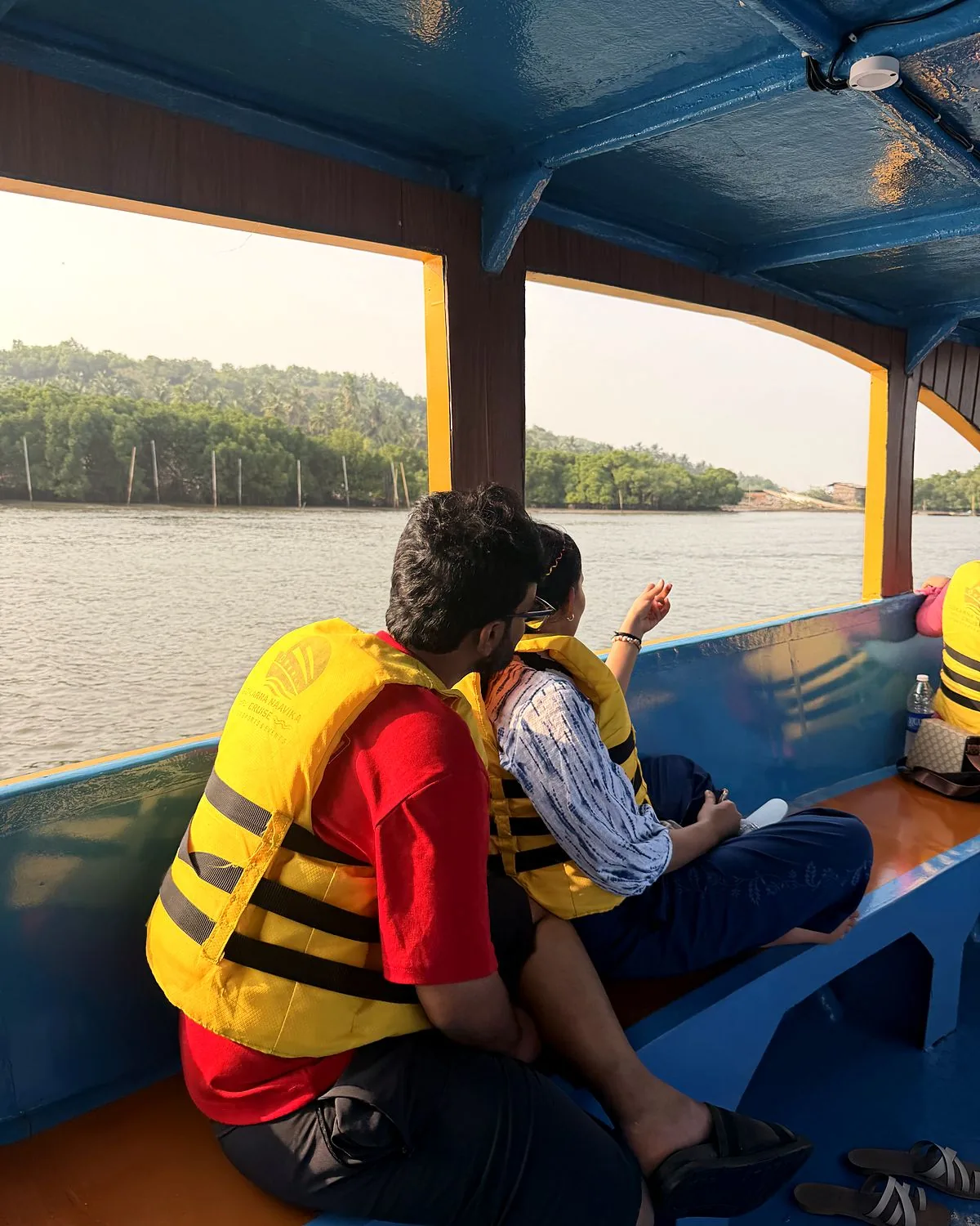 Green mangrove shoreline seen from the Naavika boat